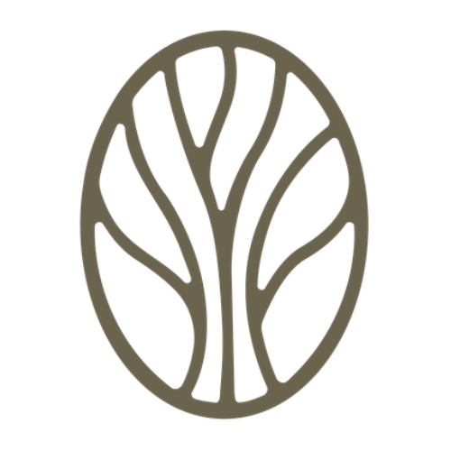 Trinity Fellowship